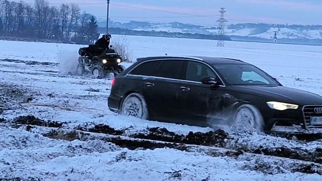 Audi Quattro Vs Stels Guepard 850