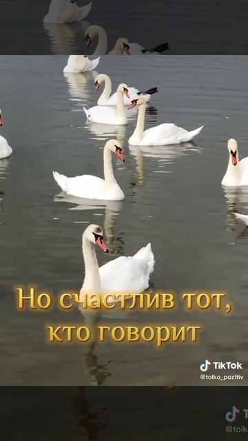 С Добрым утром смотреть онлайн