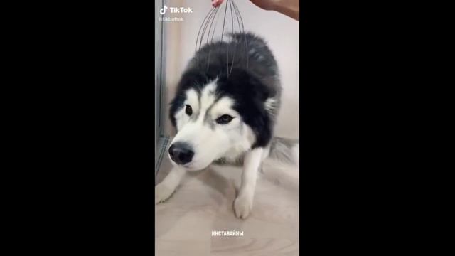 Угу =) смотреть онлайн