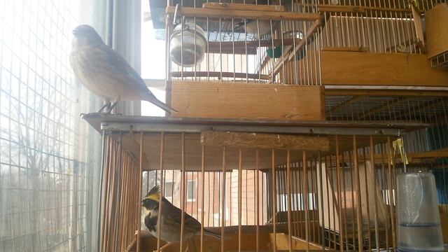 20160215 111532 смотреть онлайн