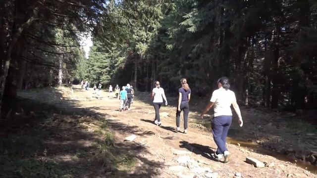 25.08.2019 - Свидовець, Драгобрат, гора Геришаска, де бере початок Чорна Тиса смотреть онлайн