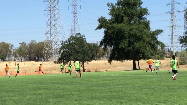 Ninja Turtles Pedram Nice Goal Nice Assist