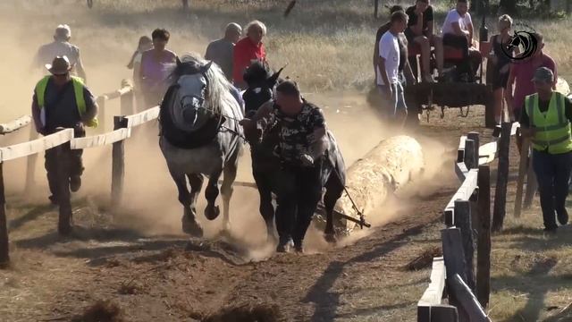 - POSLIJE GAREVACA GRMEČKI VUK SRUŠIO I PREKAJU - смотреть онлайн