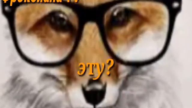 Какую мне ос выберить?