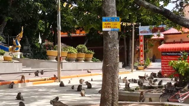 опасные зверюги