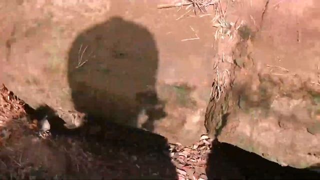 1 место пещерный лес Пештер смотреть онлайн