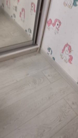 с днём защитника отечества 🌟