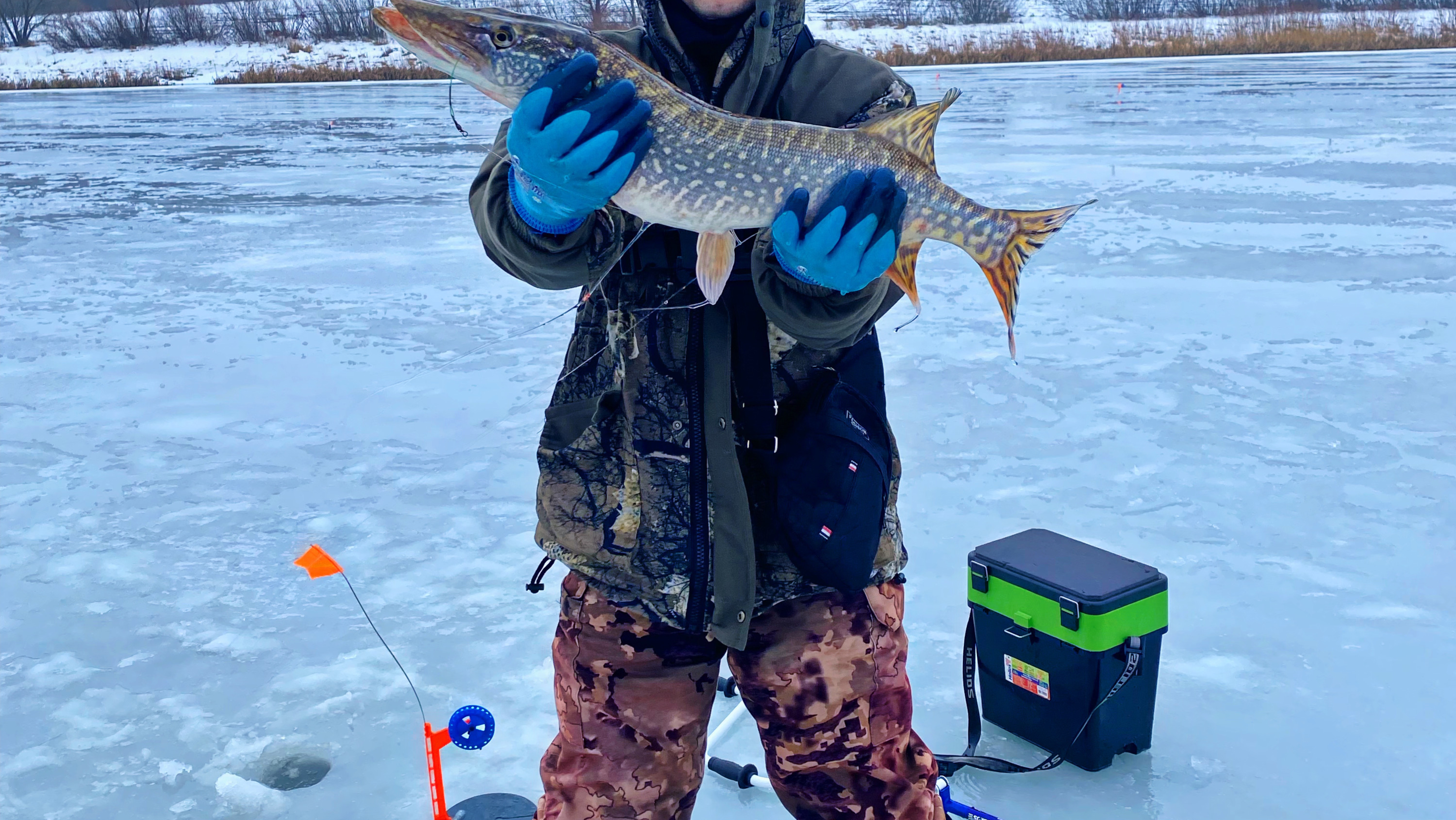 ПОСТАВИЛИ ЖЕРЛИЦЫ В НОЧЬ!!! И ВОТ ЧТО ИЗ ЭТОГО ВЫШЛО!!! смотреть онлайн