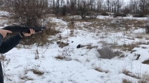 Стреляем по капусте из ружья 12-го калибра