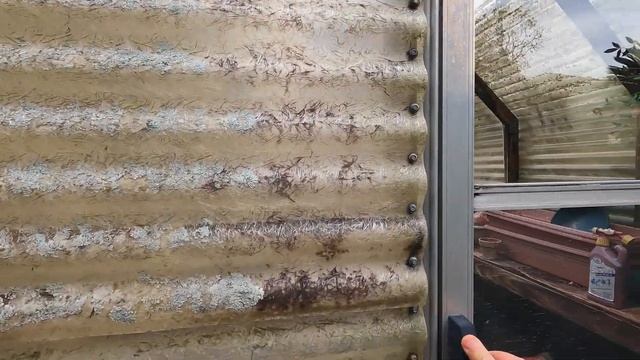 How We Kept Our Citrus Trees from Freezing During the Arctic Blast смотреть онлайн