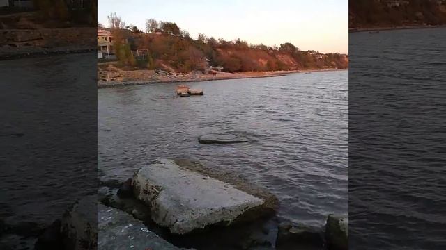 20211030 170310 смотреть онлайн