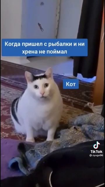 Когда пришёл с рыбалки и ни хрена не поймал !) смотреть онлайн