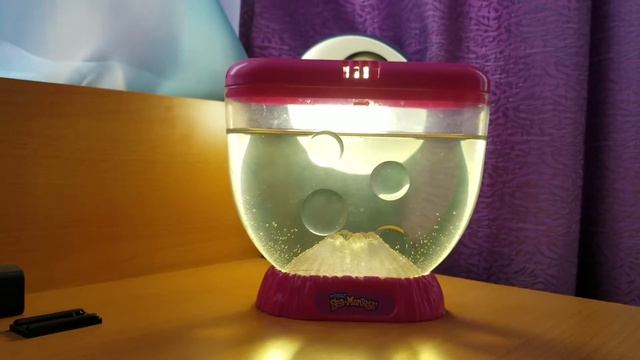 Аквариум Sea-monkeys или морские обезьянки