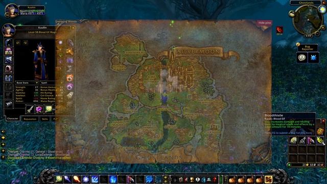 Classic WoW Armaments - Bloodthistle (TBC)