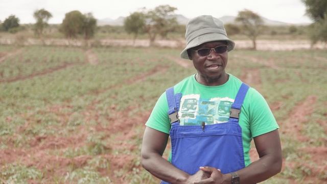 A Step-by-Step Plan for Profitable Tomato Farming on 4 Acres in Kenya смотреть онлайн