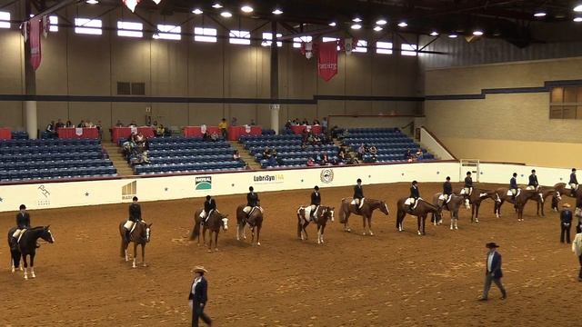 Good At It(sold)-2016 Res World Champion Am Cl Jr HUS class video (entire class & placings) смотреть онлайн
