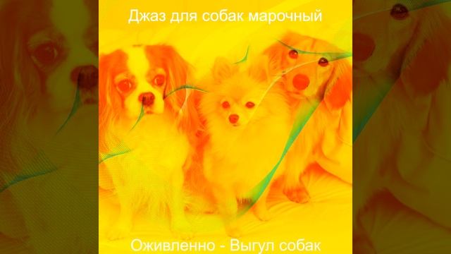 Впечатление (Выгул собак) смотреть онлайн
