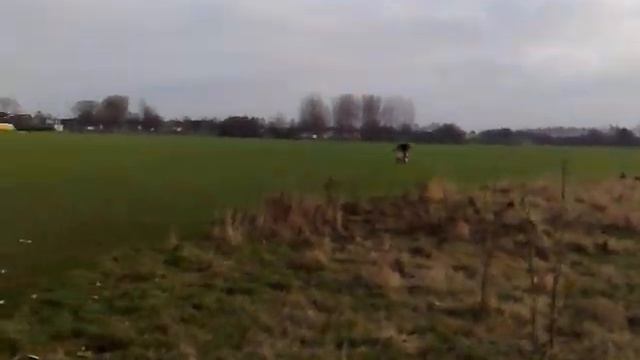 125cc Xplorer Pit Bike, Pink Bike :P смотреть онлайн