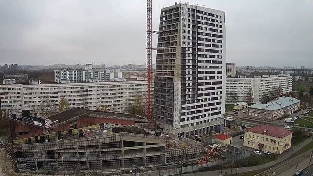 Аист 03 November 2020 X150