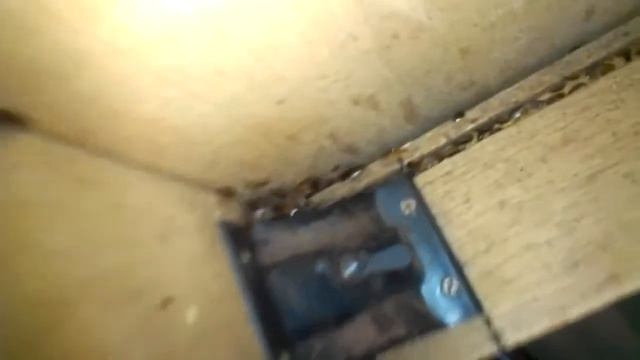 Тараканчики смотреть онлайн