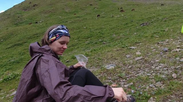 Kyrgyzstan 2024. Would You Like Some Tea? | Кыргызстан 2024. Вуд ю лайк сом ти?