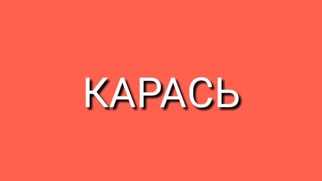 MC Лосось - Вишнёвые Карасики (перезалив) смотреть онлайн