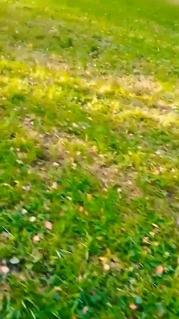 🏞️КУКУШКА смотреть онлайн