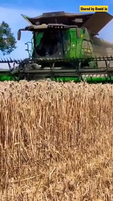 Crawler DEERE X9.1100 [700Hp/13.6L] wheat 🌾 harvest (SOUND:ON) #shorts смотреть онлайн