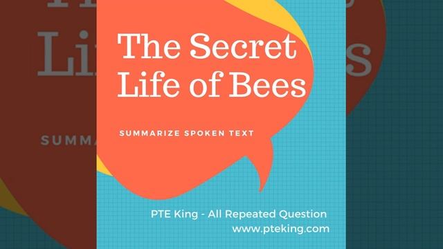 Secret Life Of Bees - Summarize Spoken Text | PTE King