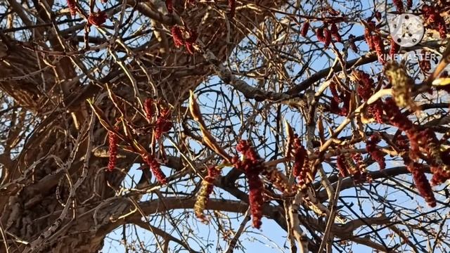 Кристина Мотиватор.Терпит в надежде на будущее.Дочь больше не хочет сниматься.Что будет делать Крис смотреть онлайн