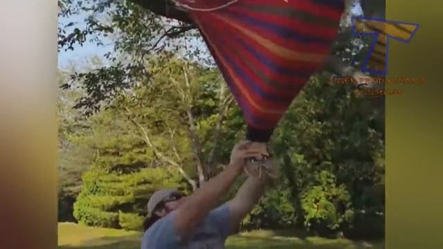 Самые смешные и самые веселые моменты на Земле, которые могут заставить кого-нибудь смеяться - Смеш