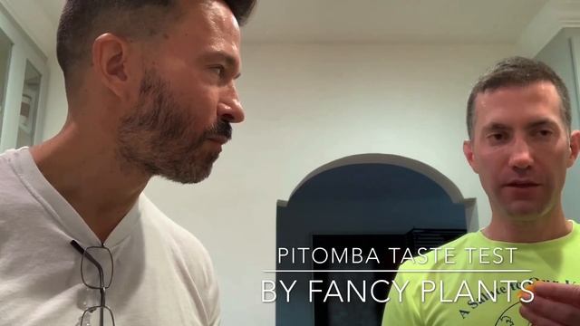Pitomba (Eugenia luschnathiana) taste test. What the heck is Pitomba? A damn tasty fruit! смотреть онлайн