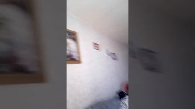 Мой хомяк мокрый!!!! смотреть онлайн