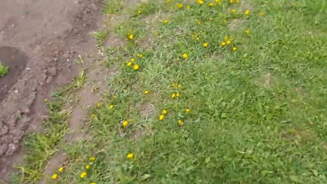 За час до посадки. смотреть онлайн