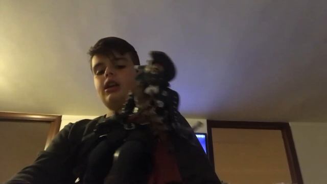 La mia collezione di Assassin’s creed смотреть онлайн