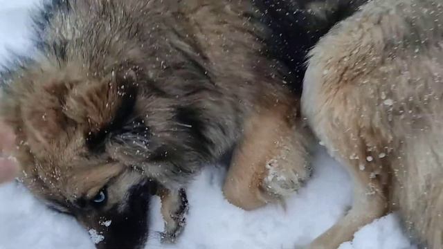 тайна 2 смотреть онлайн