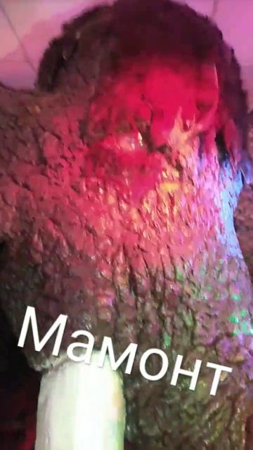 #shorts #мамонт