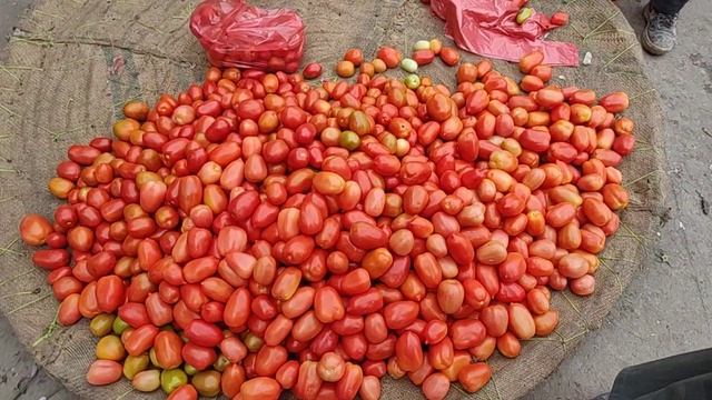 Cheap tomato | wholesale prices | sabzi mandi Islamabad | Grand vegetables market Pakistan смотреть онлайн