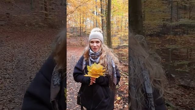 Эдуард Асадов Девушка и Лесовик смотреть онлайн