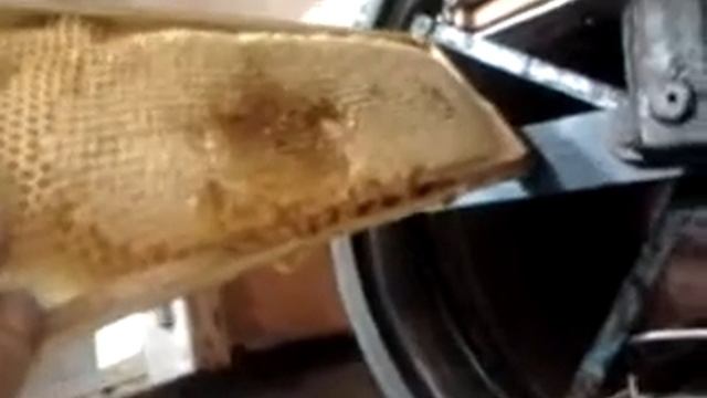 Откачка меда конец Августа смотреть онлайн