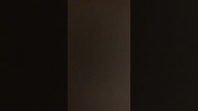 Part Two Of The Pool Party