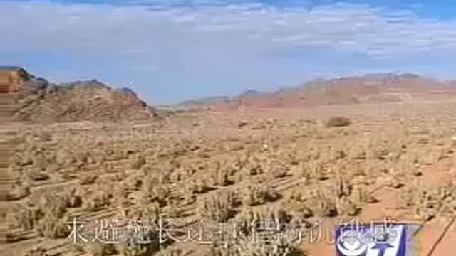 What Is Hoodia Gordonii And Does It Work?.. Finally Get The Answer You Want!.. смотреть онлайн