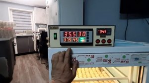 Инкубатор на 400 яиц, закладка яйца бройлера, начало инкубации