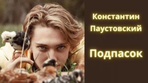 Подпасок - Константин Паустовский / Рассказ / Аудиокнига