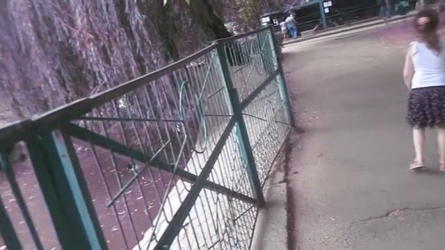 Гуляем в Николаевском ЗООПАРКЕ. Любуемся животными и кормим. Часть 1 #1