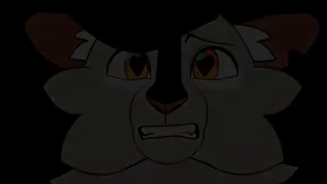 Animation Tribute Warriors Cats Bumblestripe Dark On Me смотреть онлайн