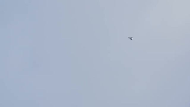 бой винтом смотреть онлайн