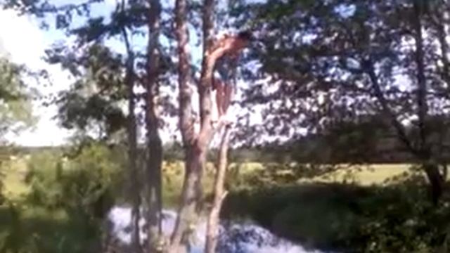 rudnia zimelia смотреть онлайн