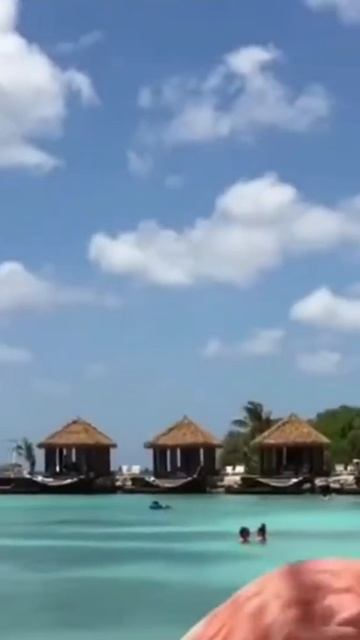 фламинго смотреть онлайн