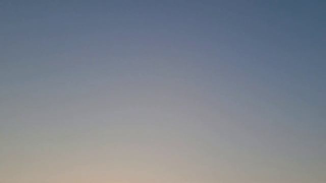 Андижанские голуби гон Pigeons санкт-петербурге Pigeons смотреть онлайн